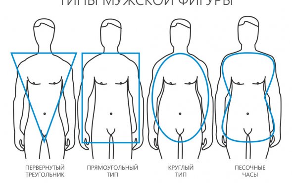 Типы мужской фигуры